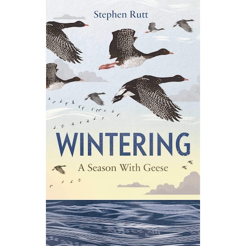 View full size Wintering: A Season with Geese by Stephen Rutt