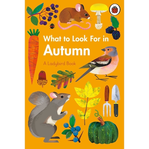View full size What to Look For in Autumn: A Ladybird Book