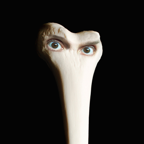 View full size cover Juana Molina - Halo