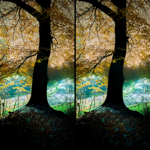 View full size cover Grasscut - Branches of the Tree