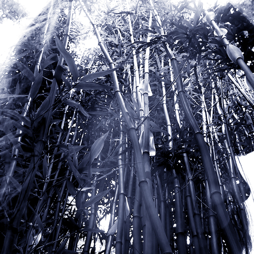 View full size cover Wolf Solent - EP // 4