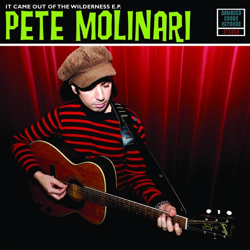 View full size cover Pete Molinari - It Came Out Of The Wilderness EP