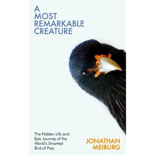 View full size A Most Remarkable Creature: The Hidden Life and Epic Journey of the World’s Smartest Bird of Prey by Jonathan Meiburg