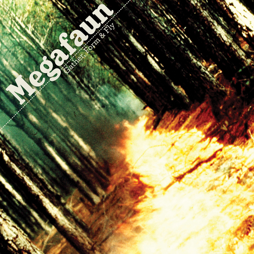 View full size cover Megafaun - Gather, Form & Fly