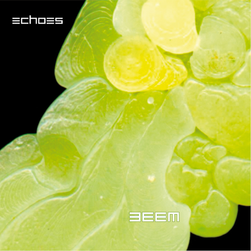 View full size cover 3eem - Echoes