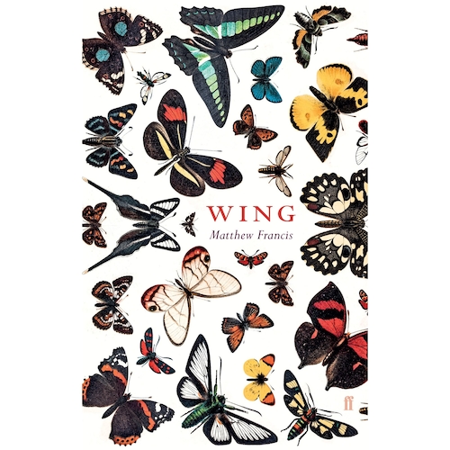View full size Wing by Matthew Francis
