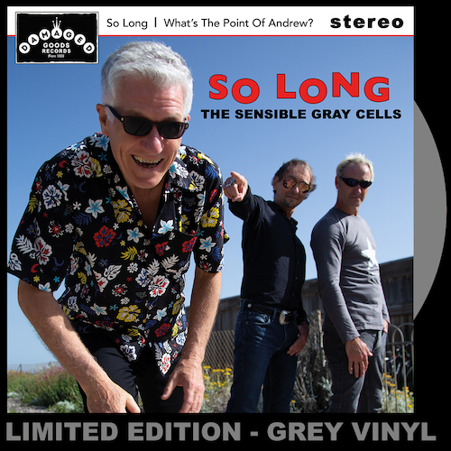 View full size The Sensible Gray Cells - So Long/What's the Point of Andrew? GRAY VINYL 7"