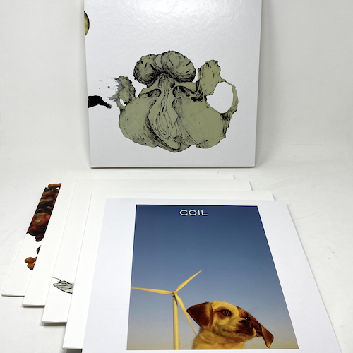 View full size The Ape Of Naples/The New Backwards - 4LP BOX SET