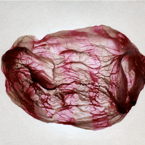View full size cover Susumu Yokota and Rothko - Distant Sounds of Summer