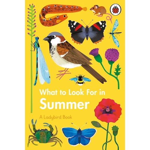 View full size What to Look For in Summer: A Ladybird Book