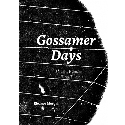 View full size Gossamer Days