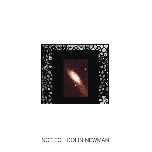 View full size cover Colin Newman - Not To