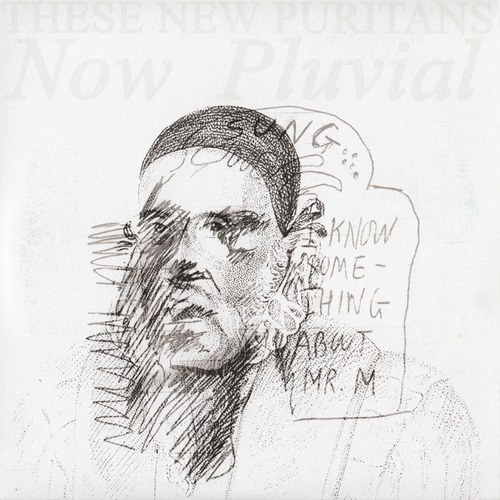 View full size cover These New Puritans - Now Pluvial