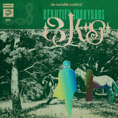 View full size cover Beauitfy Junkyards - The Invisible World of Beautify Junkyards